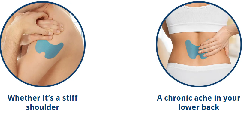 ArcticZen How to use