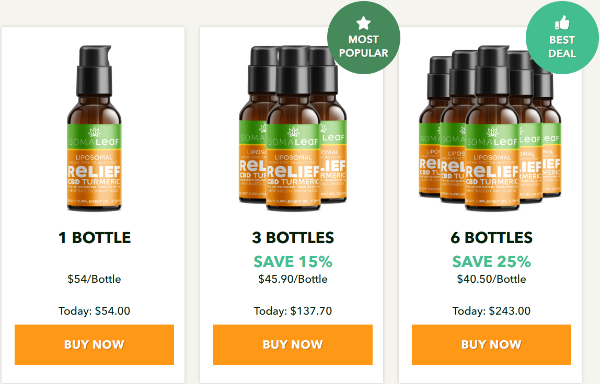 SomaLeaf's CBD Turmeric Price